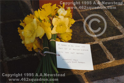 Daffodils left in memory of lost air crew by A.A.Newstead, on behalf of Anderson's Crew, 462 Squadron RAAF, at Foulsham Village Sign with Memorial Plaques, 1995.